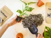 Gardners Substrát pre monstery a zelené rastliny, 0,5 l Náhľad obrázku produktu 2