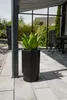 Vaso da fiori ESCADA in fibra di vetro, nero, 35x60 cm Anteprima dell’immagine prodotto 5