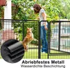 A woman is interacting with a dog in an outdoor enclosure. Náhled obrázku produktu