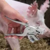 Zvířecí prasečí farma Jarní veterinární značení Náhled obrázku produktu 3