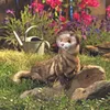 Folkmanis Ferret, Handpuppe, Tier, 1 Stück(e) Produktbild-Vorschau 7