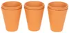 Wasserspeicher mit Insektentränke für Garten Balkon Produktbild-Vorschau 5
