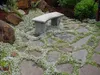 Stauden Gänge 10 x Isotoma fluviatilis - Blauer Produktbild-Vorschau 4