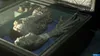A mummified or preserved body in a container. Produktbild-Vorschau