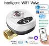 eWeLink WiFi Smart Ventil DN20, Automatisches Kugelventil Produktbild-Vorschau 4