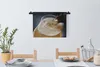 MuchoWow® Wandteppich Wandbehang Eingeschenktes Bier vor Produktbild-Vorschau 3