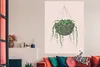 MuchoWow® Poster Pflanzen - Hängender Blumentopf 120x180 cm Produktbild-Vorschau 3