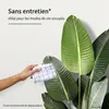 IvoQ Plante Artificielle Strelitzia 120 cm - Oiseau de Voir les images du produit 3