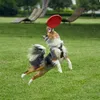 Frisbee per cani in gomma Vivifying, 2 pezzi 18 cm, Anteprima dell’immagine prodotto 6