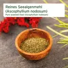 AniForte Seealgenmehl für Hunde 250g – Natürlicher Barf Produktbild-Vorschau 2