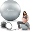 Nukido Těhotenský aerobní míč 65 cm NS-951 šedý Anteprima dell’immagine prodotto 2