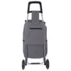 A grey shopping trolley with black wheels and handle, shown from the back against a white background. Produktbild-Vorschau