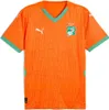 Puma Ivory Coast Replica 2025 Heim Kurzarm-t-shirt Orange L Produktbild-Vorschau 1