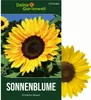 Sonnenblumen Einfache Riesen Samen - Helianthus annuus - Produktbild-Vorschau 1