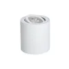 A white cylindrical spotlight with an adjustable head is shown against a white background. Anteprima dell’immagine prodotto