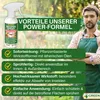 Wespen Abwehrspray Power-Konzentrat 500 ml – Pflanzliches Produktbild-Vorschau 7