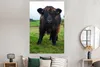 MuchoWow® Poster Schottische Highlander - Kühe - Natur - Produktbild-Vorschau 4