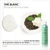 Duo Soins Cheveux Colorés - Shampooing au Thé Blanc 250ml + Voir les images du produit 5