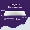 A pillow with dimensions and weight indicated by text and lines. Produktbild-Vorschau