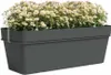 ARTEVASI - Set Balkonkasten capri re 50 cm v2 anthrazit Náhled obrázku produktu 3