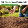 Bienenweide Blumenmischung - 100 g Samen für Bienenwiese - Produktbild-Vorschau 7