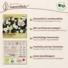 Samenliebe  Margerite Samen | Wiesenmargerite - winterhart Produktbild-Vorschau 3