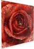 Wanduhr aus Glas mit Motiv Wassertropfen Rose- 30 x 30 cm - Produktbild-Vorschau 2