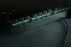 Razer Blackwidow V3 Tenkeyless tastiera Giocare USB QWERTY Anteprima dell’immagine prodotto 9