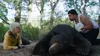 Cocaine Bear Produktbild-Vorschau 6