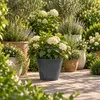 Prosperplast Blumentopf - Kunststoff - Bronze - D30 x 28 cm Produktbild-Vorschau 4