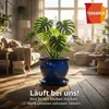 Keramik Untersetzer Royal Blau Ø 40cm XXL Blumenkübel Produktbild-Vorschau 5