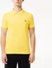 Polos Hombre Del Marchio Lacoste Del Modello L1212 Short Anteprima dell’immagine prodotto 6