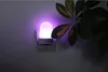 A small LED night light plugged into a wall socket, emitting a soft purple glow. A plant with green and pink leaves is visible to the right. Produktbild-Vorschau