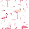 Coloray Fototapete 290x290 cm Vlies-Fototapete - Flamingo Produktbild-Vorschau 2