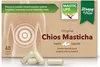 Mastix Strong&Pure (40 Kapseln) Masticlife Produktbild-Vorschau 1
