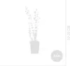 Bloomique - Lot de 6 - Nepeta Walker's Low - Cataire - Voir les images du produit 7
