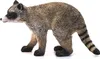 Schleich Waschbär, 14828 Produktbild-Vorschau 4