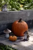 Decorative pumpkins and mushroom figures are placed on a stone ledge with greenery in the background. Produktbild-Vorschau