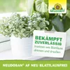 Neudorff Neudosan AF Neu Blattlausfrei 250ml gegen Produktbild-Vorschau 5