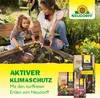 Neudorff Kokohum BlumenErde Brikett ergibt 7L Erde - aus Produktbild-Vorschau 7