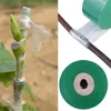 A collage showing grafting tape used for plant propagation and a roll of the tape. Produktbild-Vorschau
