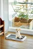 ZOLUX Toilette für Hunde, Katzen Offene Toilettenbox Produktbild-Vorschau 2