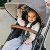UPPAbaby VISTA V3 Kinderwagen 2-in-1 - Greyson | Neue Produktbild-Vorschau 6