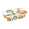BLEDINA Milchdessert für Babys ab 6 Monaten Aprikose  6 Produktbild-Vorschau 2