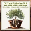 Green Home Olivenbaum- & Oleandererde 72L - Pflanzerde für Produktbild-Vorschau 4