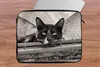 MuchoWow® Laptop Hülle 15 Zoll Nahaufnahme einer Katze Produktbild-Vorschau 6