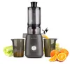 Kaltpress-Entsafter Rosmarino Vitalia NutriPress Anteprima dell’immagine prodotto 10