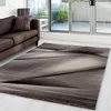 Kurzflor Teppich Wohnzimmer Braun 120x170 Rechteck Produktbild-Vorschau 2