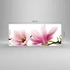Bilder auf glas - Magnolie blume natur pflanze - 120x50cm - Produktbild-Vorschau 3