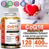 CoQ10 + estratto di tarassaco 400 mg (120 capsule) Anteprima dell’immagine prodotto 8
